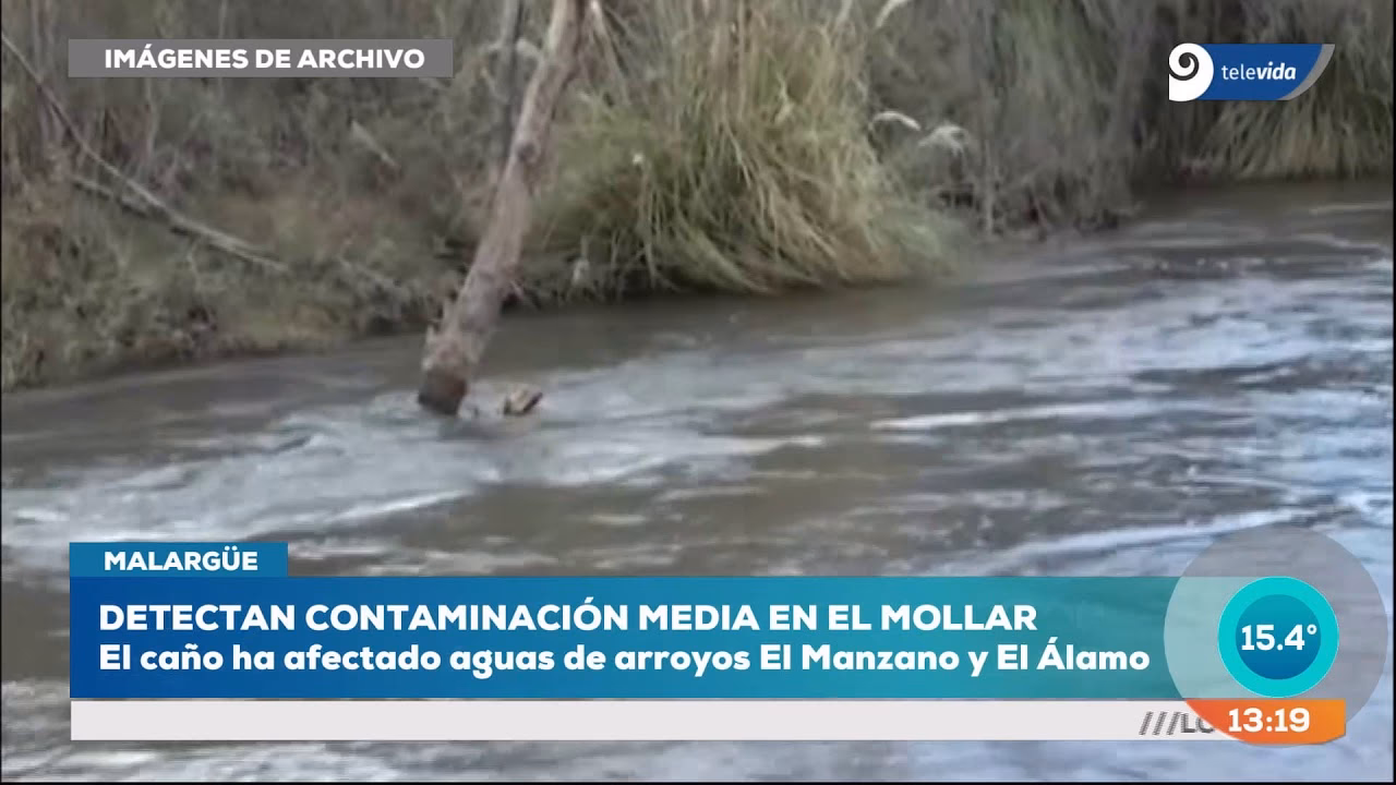 ¿Cómo afectan las megagranjas a la contaminación de las aguas?