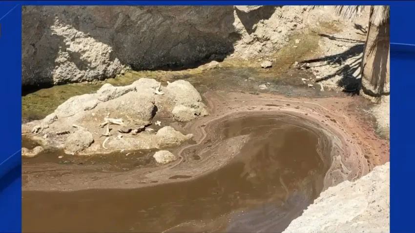 ¿Cuáles son los contaminantes del agua envasada?