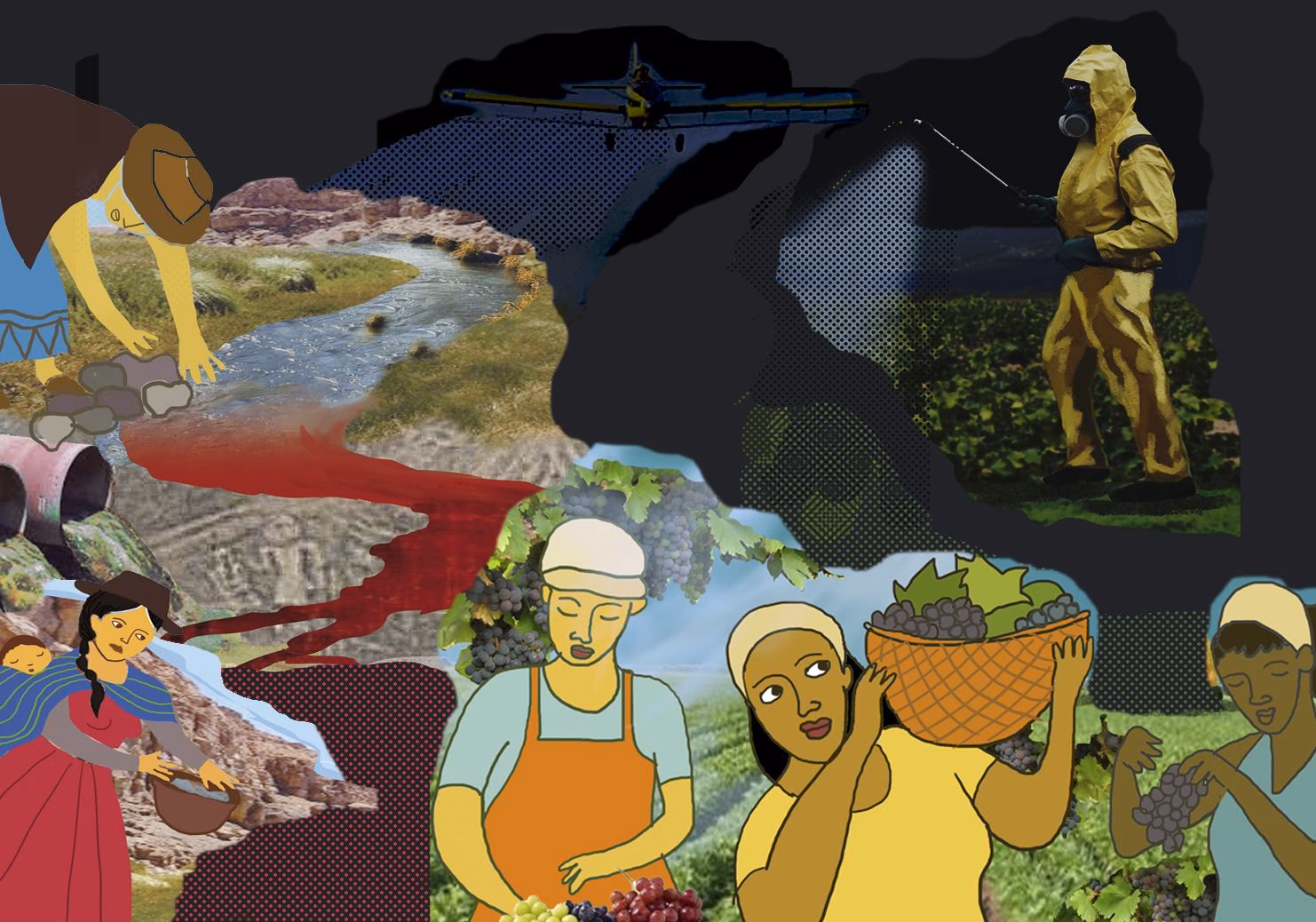 ¿Cómo afectan los plagicidas a la calidad de las aguas subterráneas?