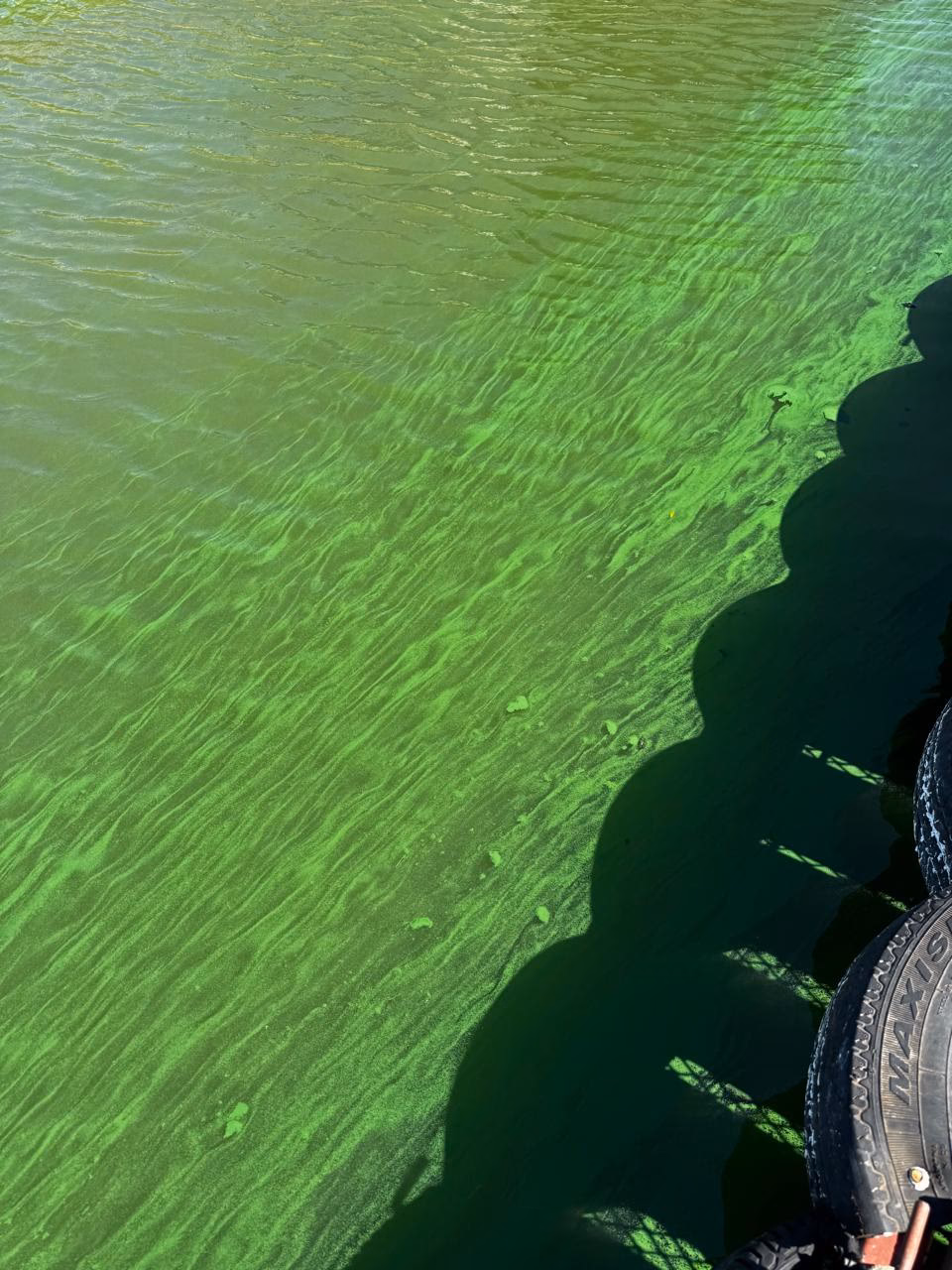 ¿Cómo afecta la tiroides al paso de aire?