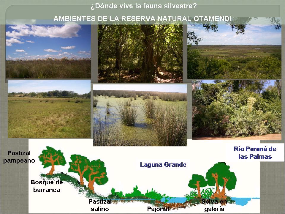 ¿Por qué el agua está contaminada por las poblaciones cercanas a la reserva?