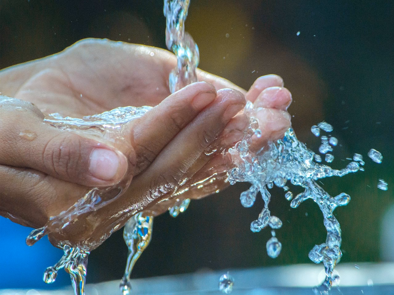 ¿Cuál es la propuesta de la educación ambiental?