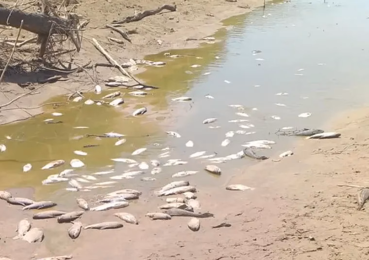 ¿Dónde se encuentran las aguas blancas?