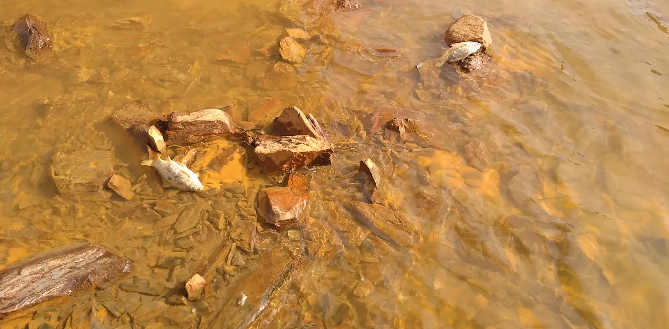 ¿Qué son las aguas residuales ácidas?