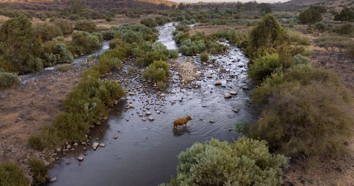¿Qué está pasando con el río Jordán?