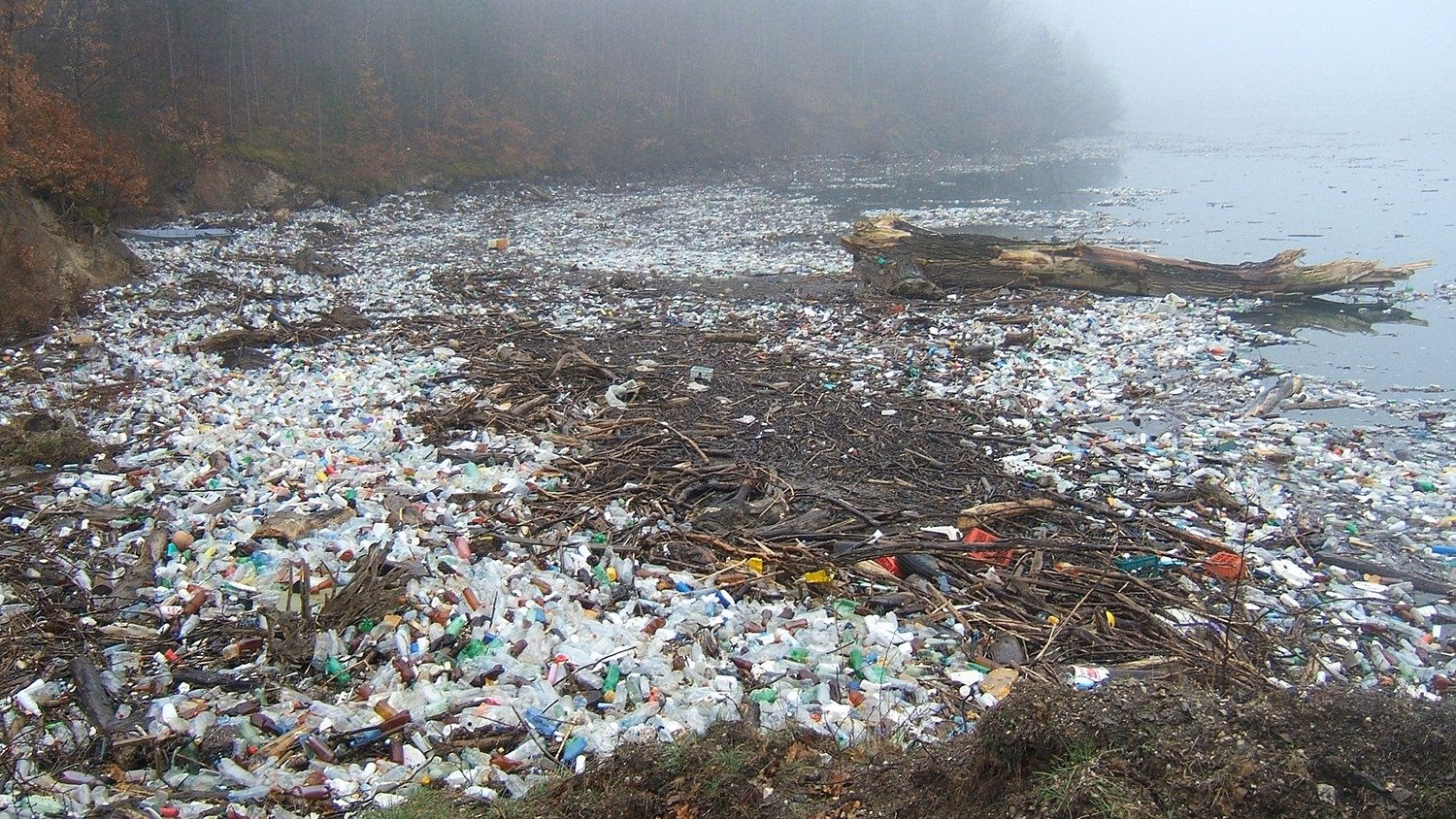 ¿Cuál es la estructura de un ambiente para uso de aguas residuales contaminantes?