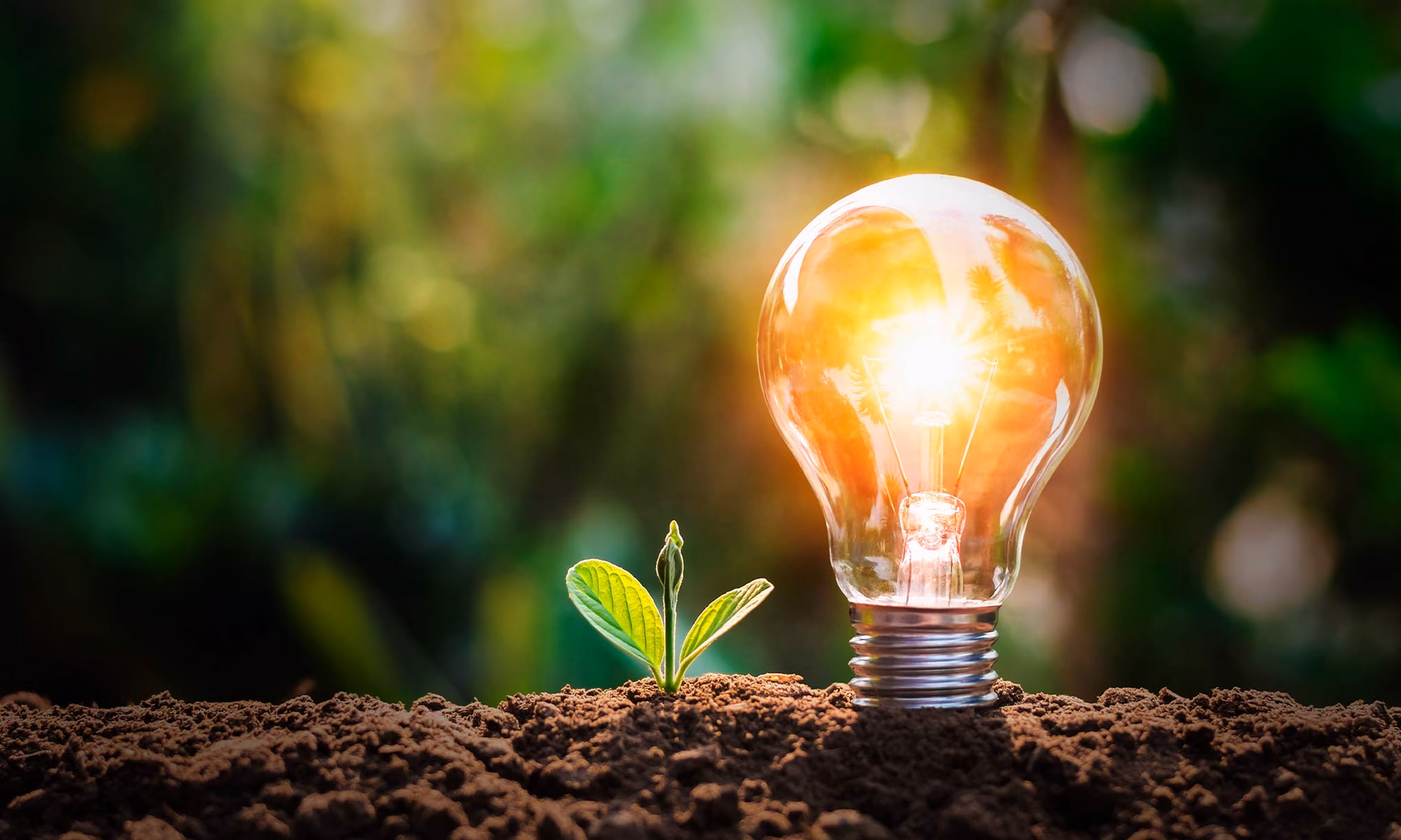 ¿Cómo ahorrar energía en nuestras casas?