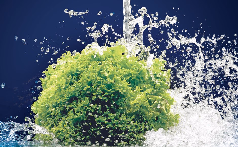 ¿Cómo ahorra agua la acuaponía?