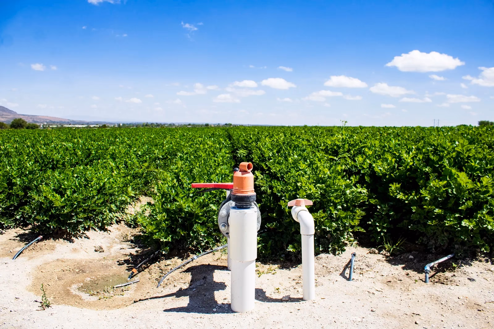 ¿Qué es el ahorro inteligente de batería?
