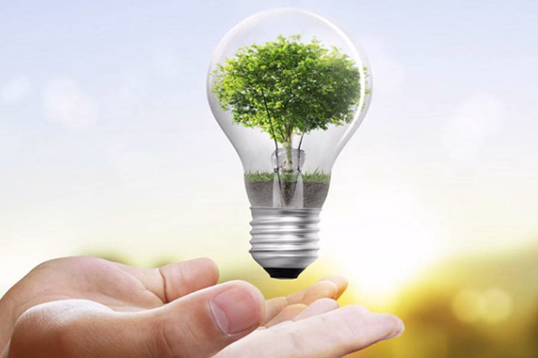 ¿Cómo obtener ahorros de energía?