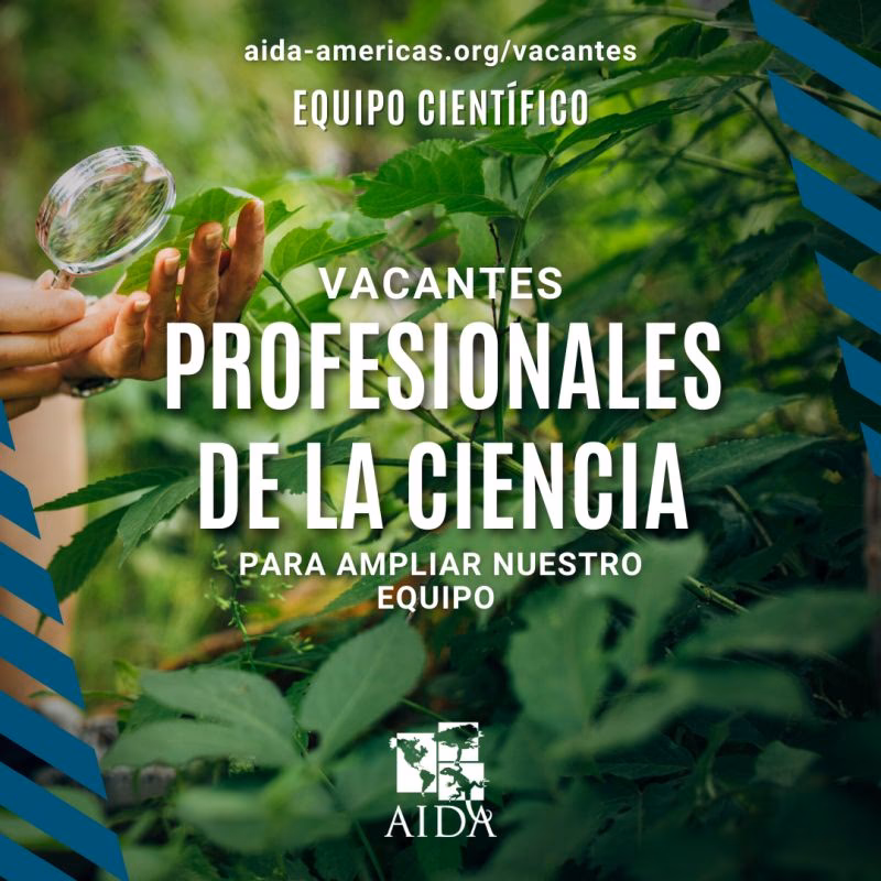 ¿Cómo protege Aida el derecho a un ambiente sano?