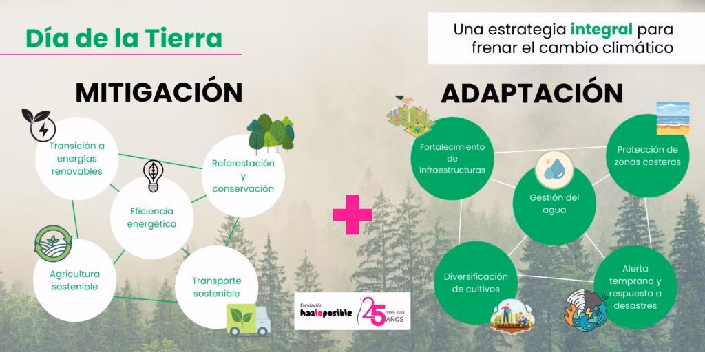 ¿Cómo se adaptan las especies a las nuevas condiciones ambientales?