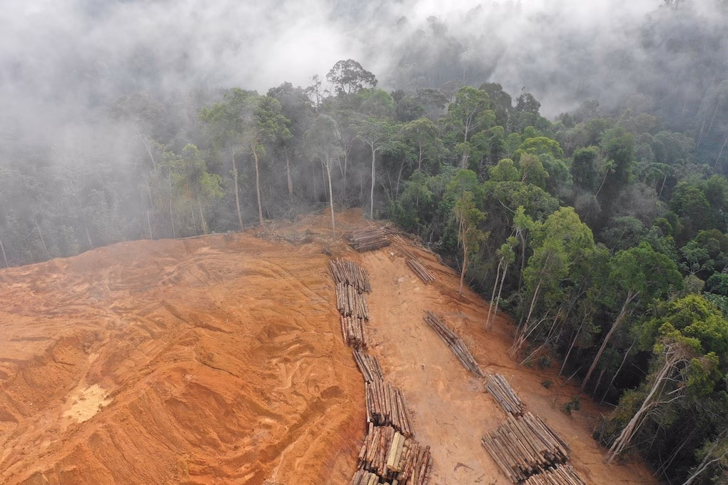 Why is deforestation a problem?