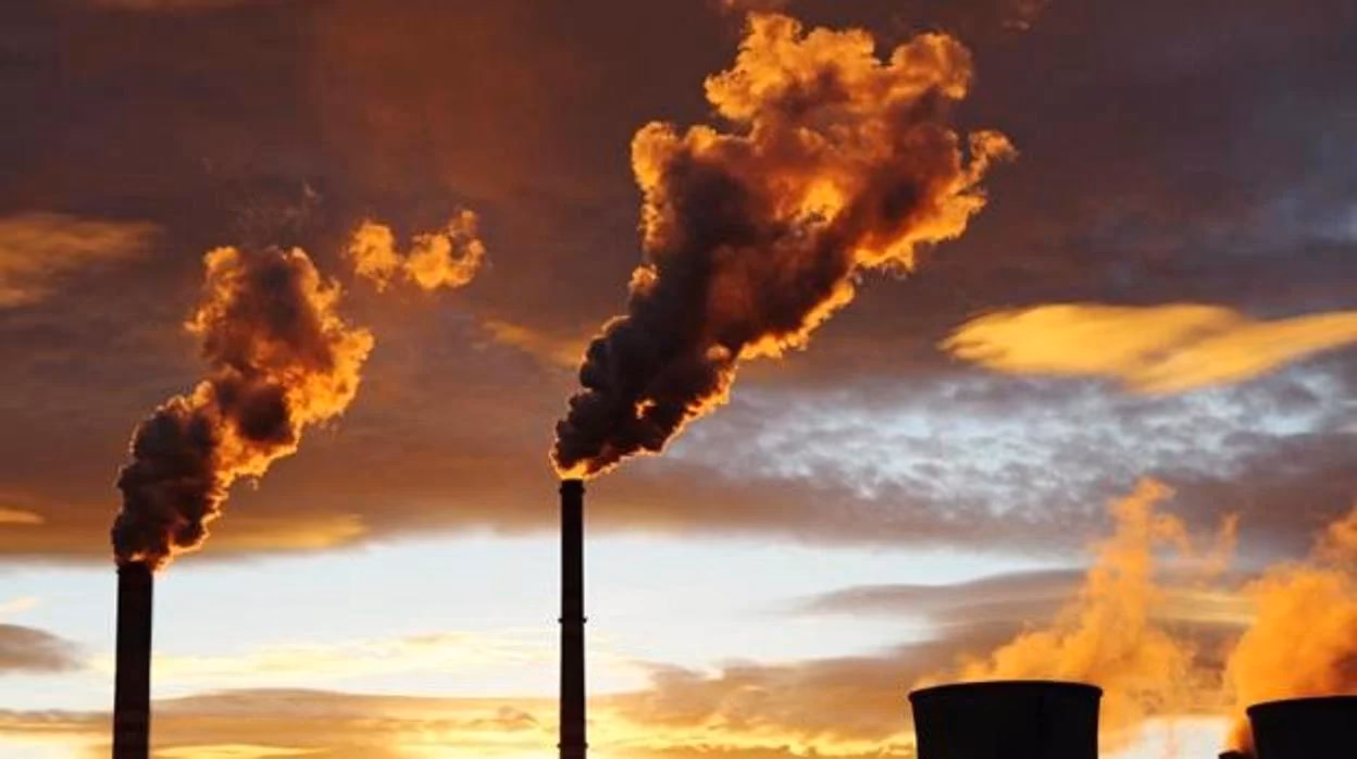 ¿Cómo afecta la contaminación ambiental a los bosques de Alemania?