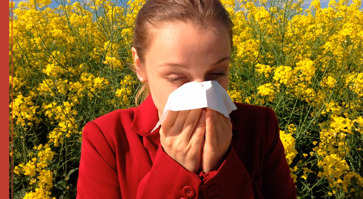 ¿Cuáles son los factores desencadenantes de las alergias ambientales?