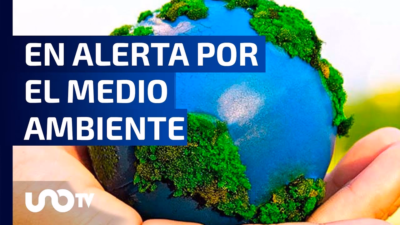 ¿Dónde se aplica la medida de alerta ambiental?