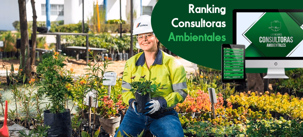 ¿Qué pasó con el proyecto de Alessandri?