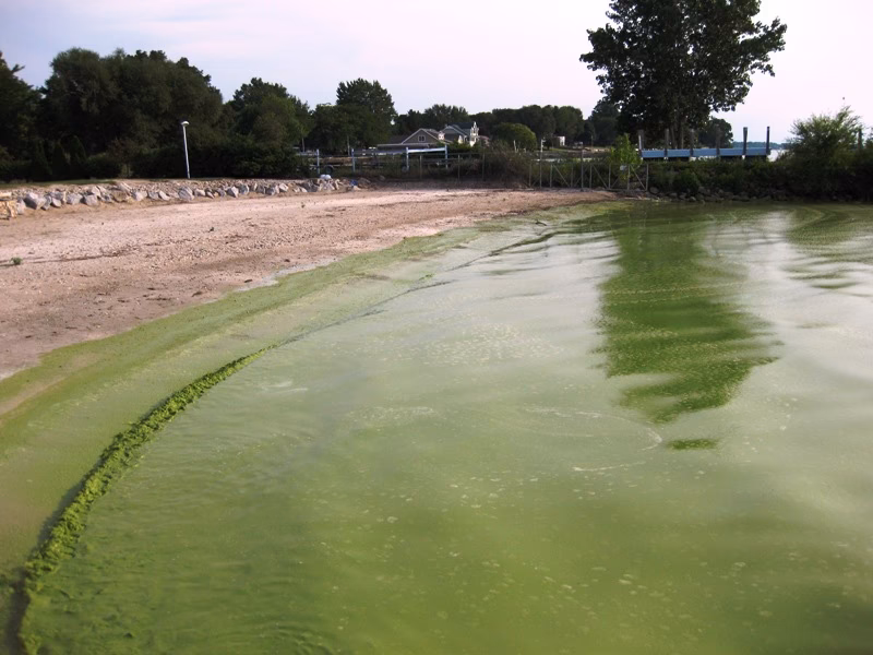 Are harmful algal blooms a threat to water security?