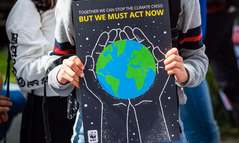 ¿Qué pasó con la Alianza por la justicia climática?