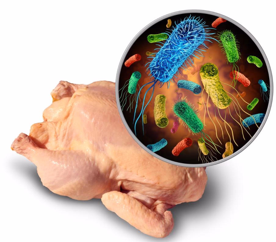 ¿Cuál es el porcentaje de coliformes fecales en los alimentos?