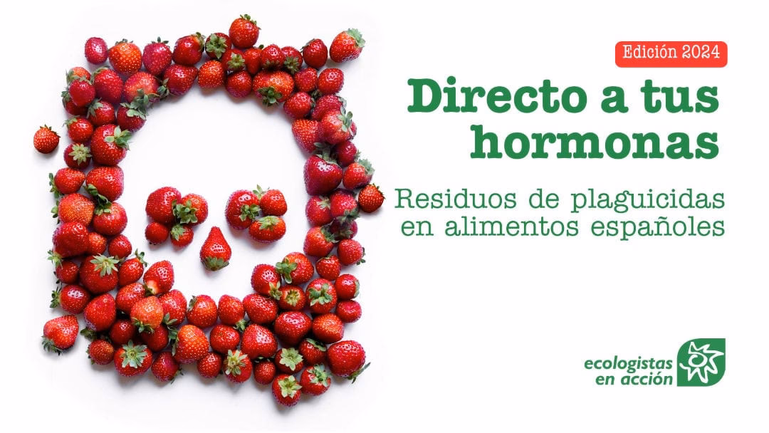 ¿Cómo saber si los alimentos están contaminados?