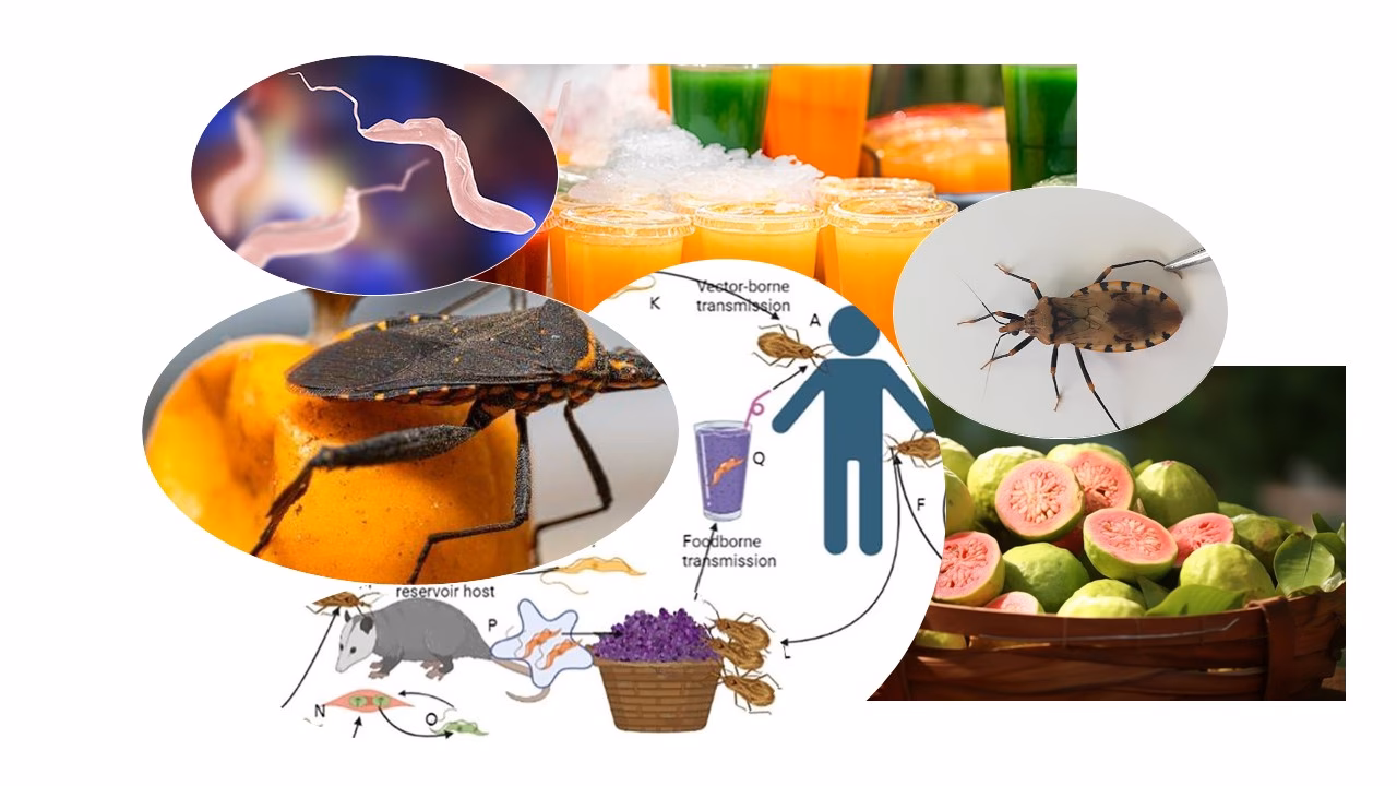 ¿Cuántas personas se enferman al consumir alimentos contaminados?