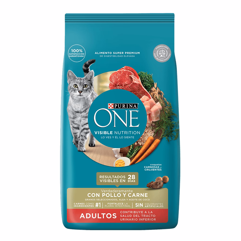 ¿Cuáles son los alimentos tóxicos para gatos?