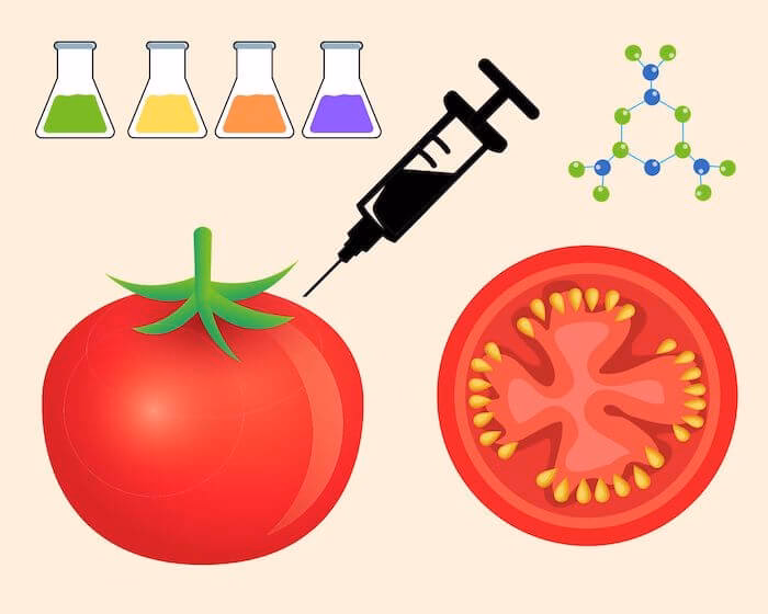 ¿Cómo afectan los alimentos transgénicos al medio ambiente?