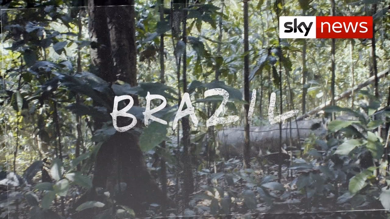 What is the Amazon rainforest?