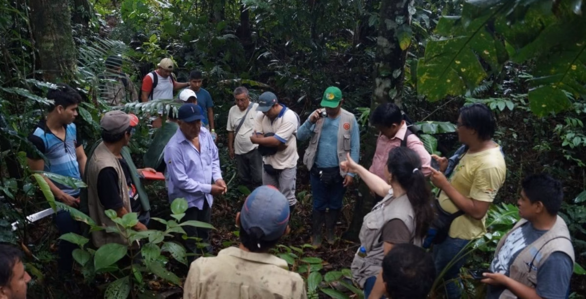 ¿Qué son los proyectos de Participación Ciudadana?