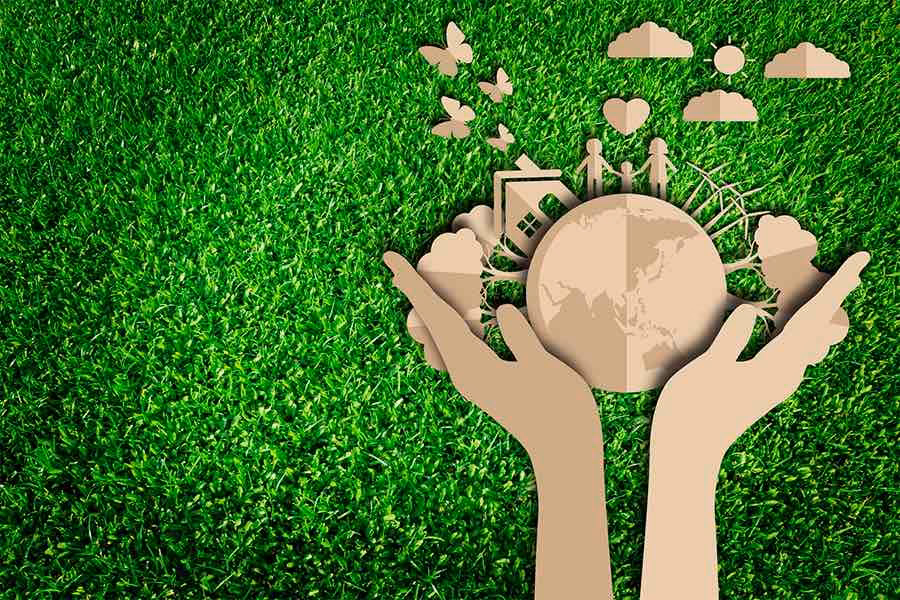 ¿Cómo mejorar el medio ambiente?