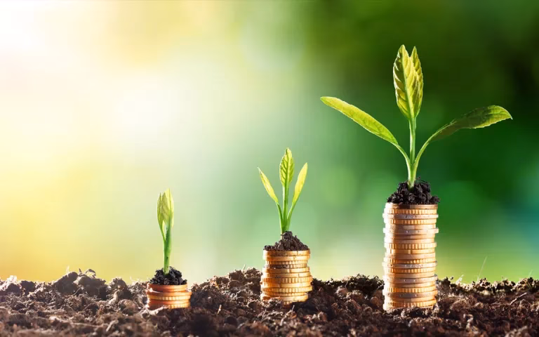 ¿Cuáles son los diferentes tipos de contabilidad ambiental?