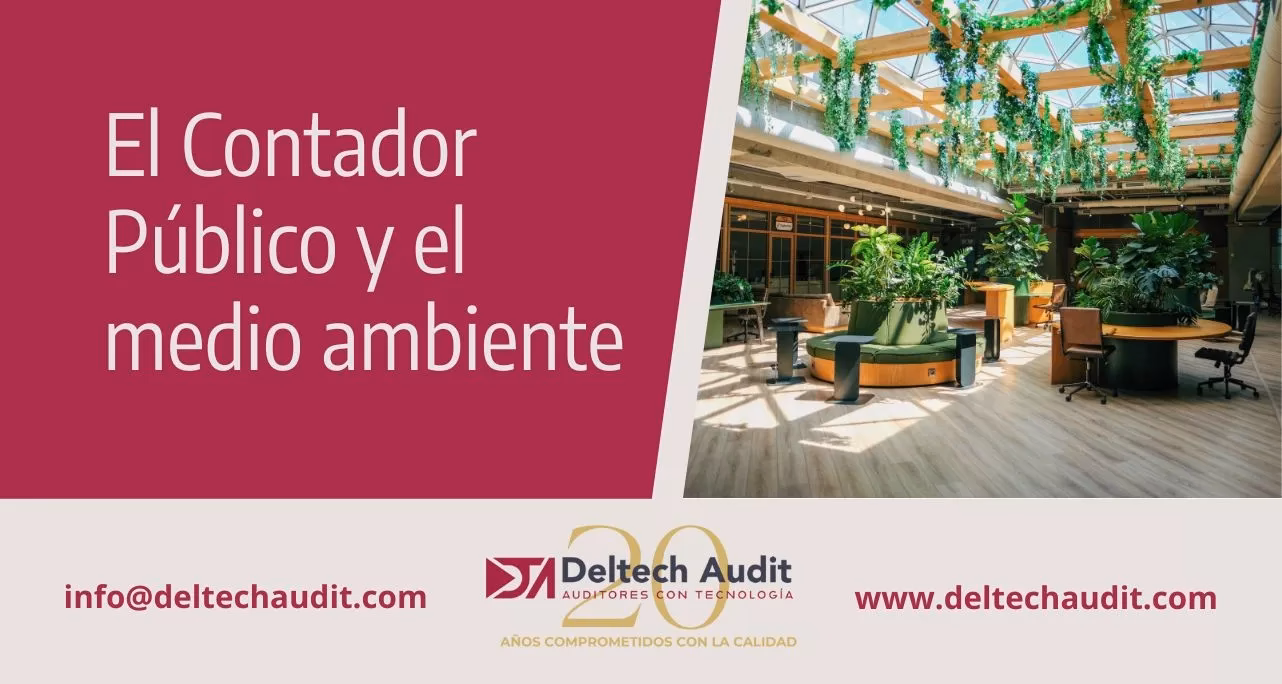 ¿Cuáles son los diferentes tipos de contabilidad ambiental?