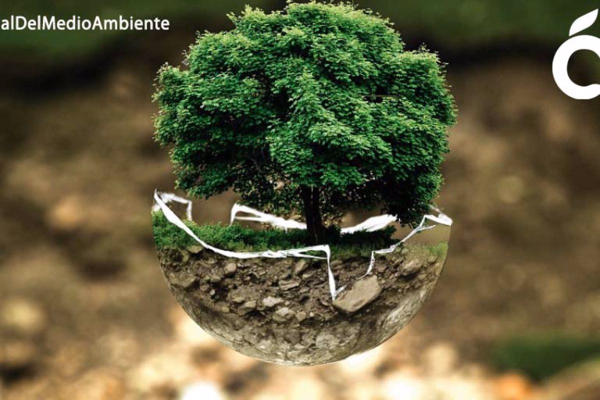 ¿Cómo sobrevivir en el medio ambiente a un ser vivo?