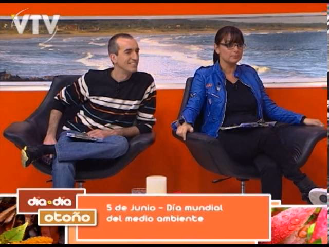 ¿Cómo gestionar tu turno VTV?