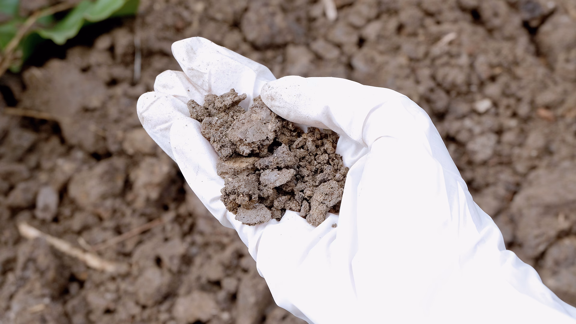 How can contaminated soil management be sustainable?