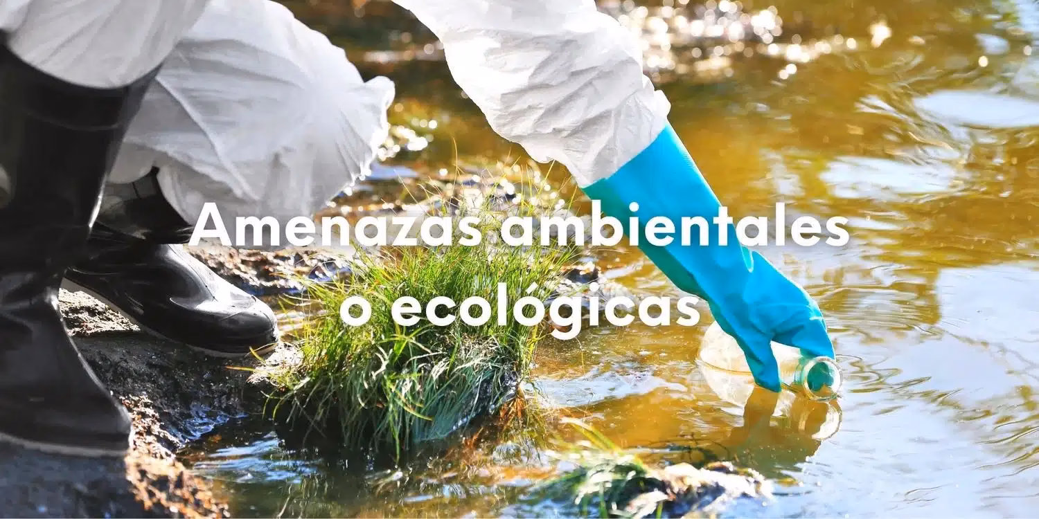 ¿Cómo proteger el medio ambiente?