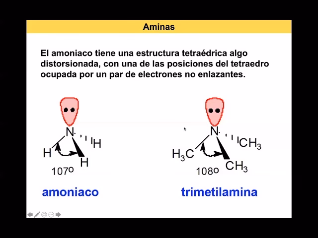 ¿Cuáles son los sustituyentes de las aminas alifáticas?