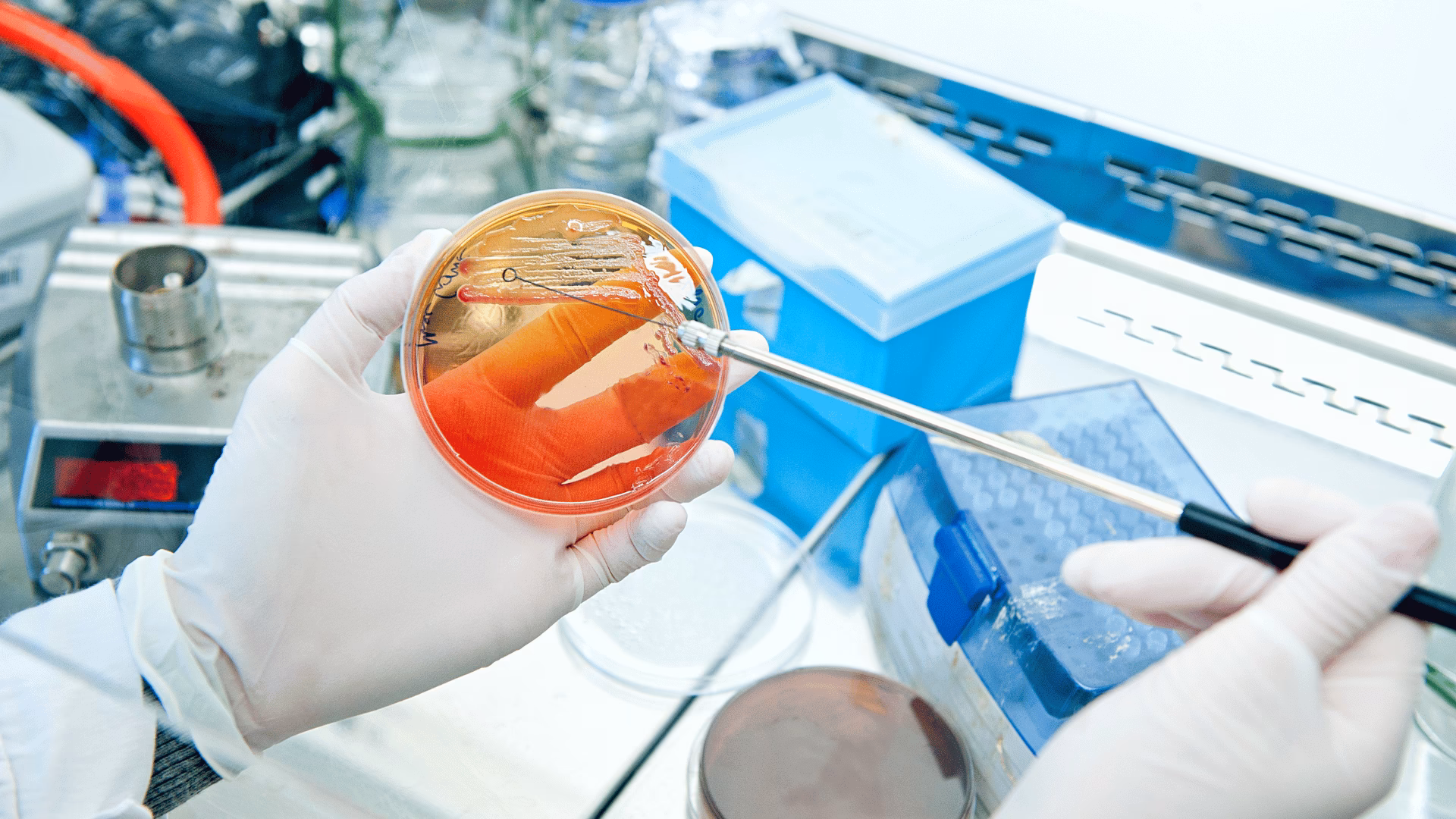 ¿Cómo contribuyen los análisis microbiológicos a la seguridad alimentaria?