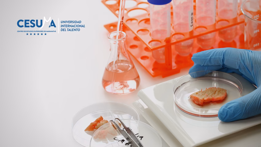 ¿Cómo contribuyen los análisis microbiológicos a la seguridad alimentaria?