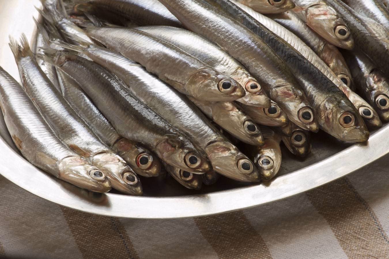 ¿Cómo afecta la anchoa a las conserveras?
