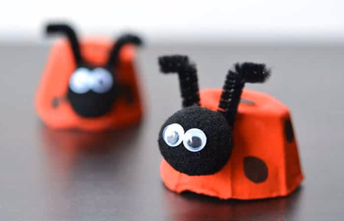 ¿Qué protegen los maples para huevos?