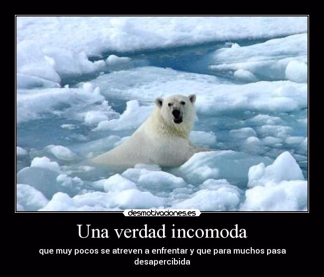 ¿Por qué la Antártida está en peligro de desaparecer?