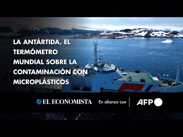 ¿Cuáles son los efectos nocivos de nuestras acciones en la Antártida?