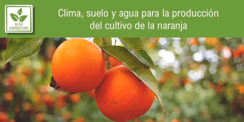 ¿Por qué rechazan el cambio climático?