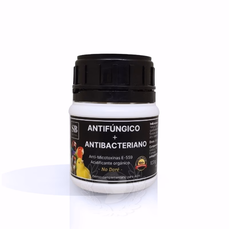 ¿Qué son los antifúngicos?