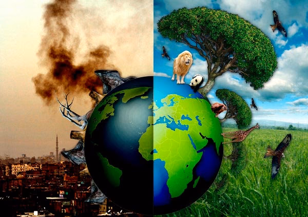 ¿Cuáles son los motivos y el momento de inicio del Antropoceno?