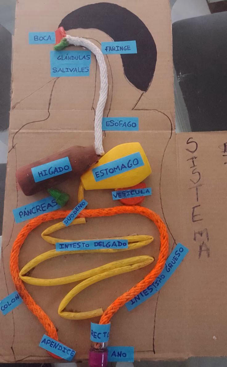 ¿Cómo hacer un apéndice de un artículo?