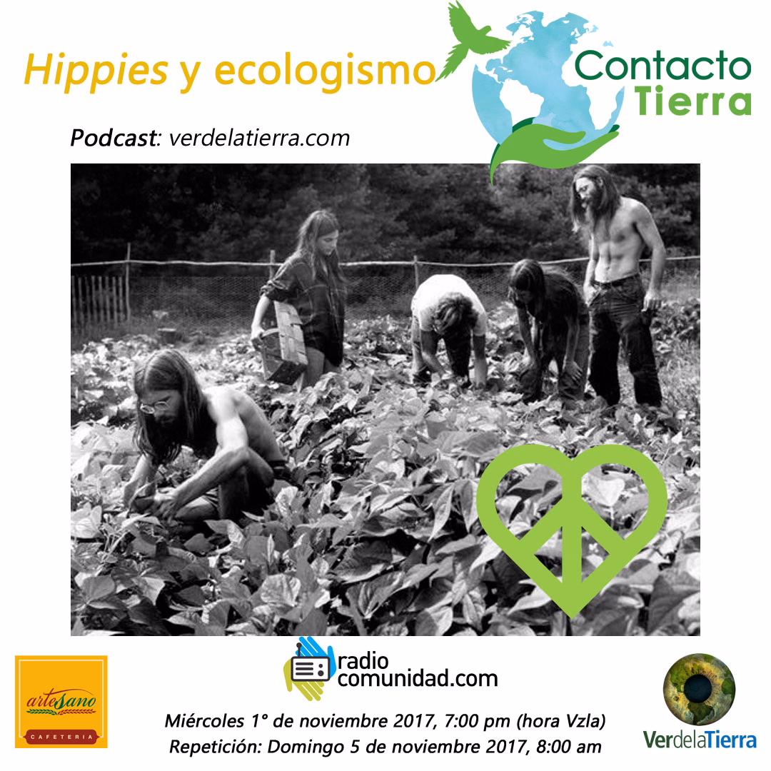 ¿Cuál es la relación entre el movimiento hippie y la ecología?