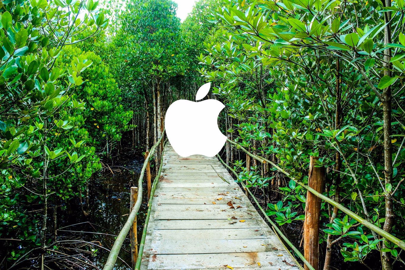 ¿Cuáles son las medidas de Apple para mejorar el medio ambiente?